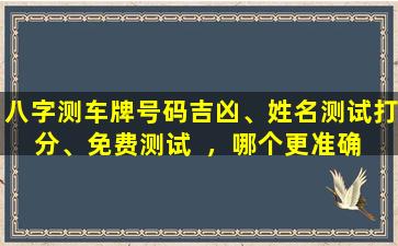 八字测车牌号码吉凶、姓名测试打分、免费测试  ，哪个更准确 